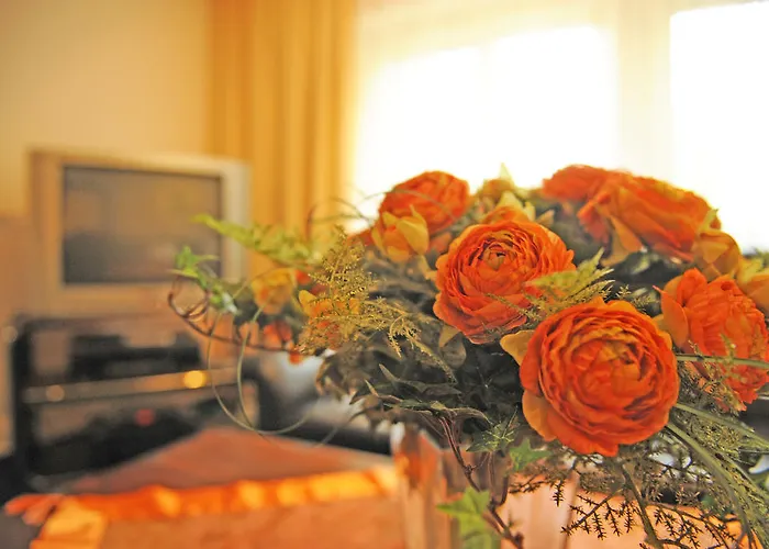 Maison d'hôtes Olympia Oetz