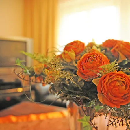 招待所 奥林匹亚旅馆 厄茨